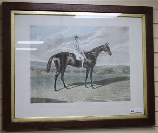 Braall & Son publ. colour aquatint, portrait of the racehorse Bendigo, overall 64 x 84cm